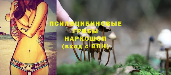 тгк Гусь-Хрустальный