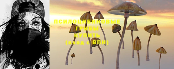МДПВ Дмитров