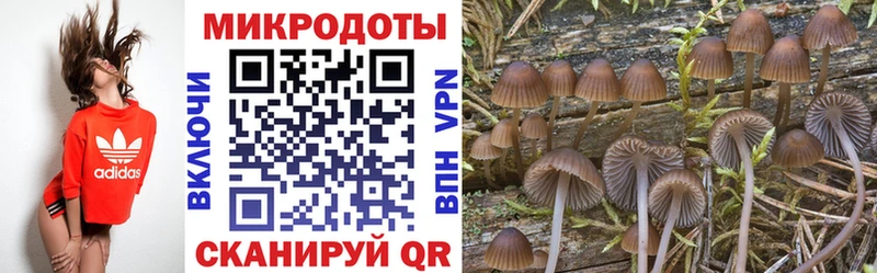 дарк нет телеграм  Волгодонск  hydra ссылка  Галлюциногенные грибы Psilocybine cubensis  купить  цена 